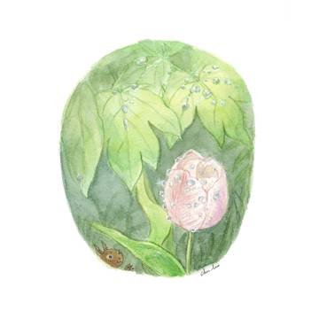 水やりのあと