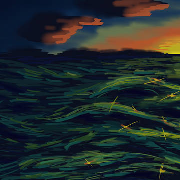 海