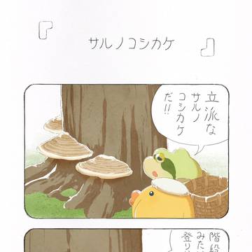 サルノコシカケ (第1話リメイク)