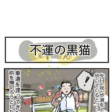 不運の黒猫