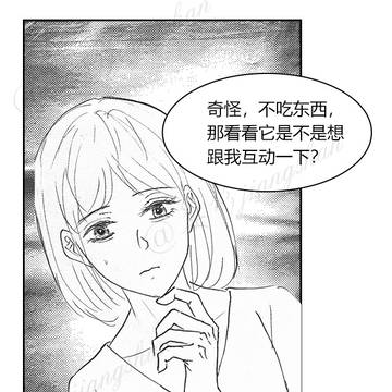 【私稿】《掌中异宠》