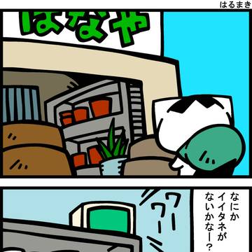 チビタマ日記　その２６７９