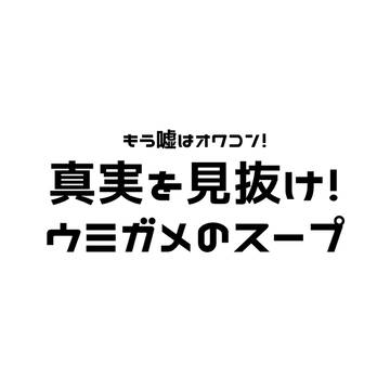 真実を見抜け!ウミガメのスープの模範解答を公開しました!
