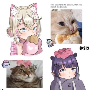 Cat memes I.