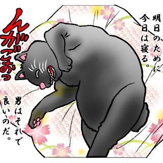 ニャンコの一言