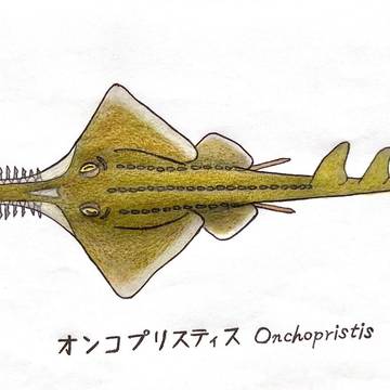 オンコプリスティスOnchopristis (リメイク)
