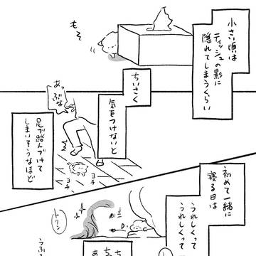 かわいいこ