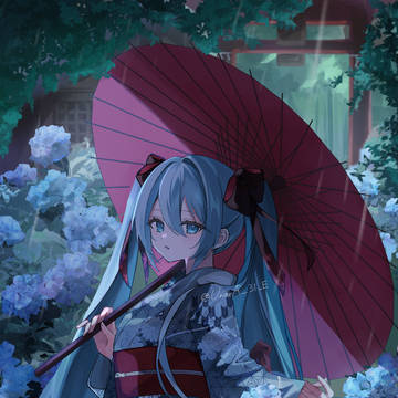 雨露と紫陽花