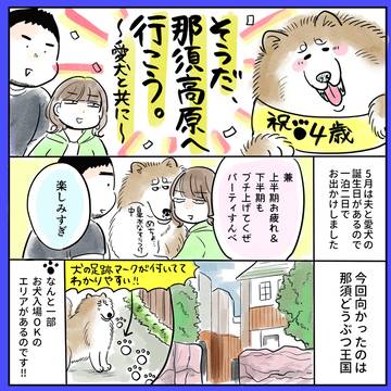ゆる日記まとめ～旅行とか犬とか眼鏡とか～