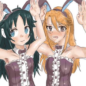 バニーガールハルナンジョウ
