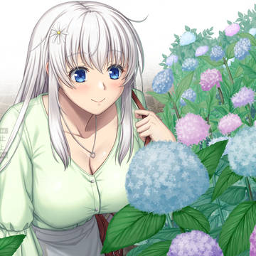 June Flowers
