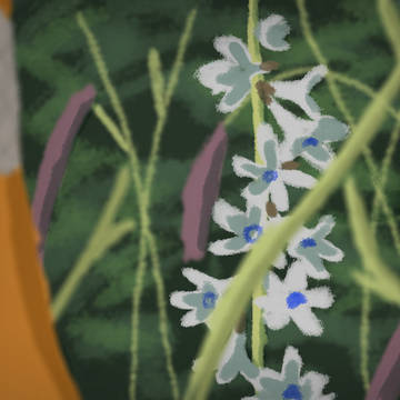 White Rock Larkspur