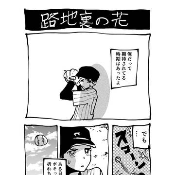 路地裏の花