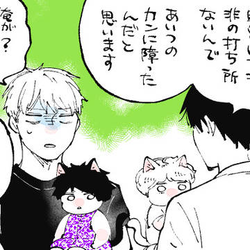 キラキラにゃんこ生活