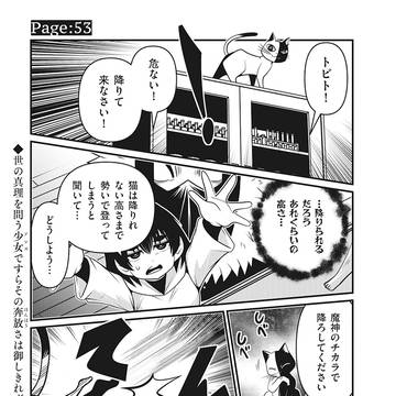 猫…「新しい家族」とは何ですか？