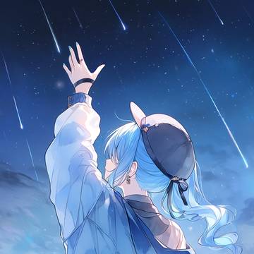 今夜は流星群