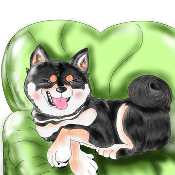 黒柴犬フェル0　イラスト