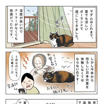 サマーベッドを求めるマダム🌹