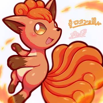 こんこんっ！🔥