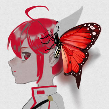 蝶