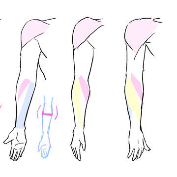 さまざまな角度の腕を描く studyraum_5