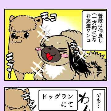 うちのちゃむ107