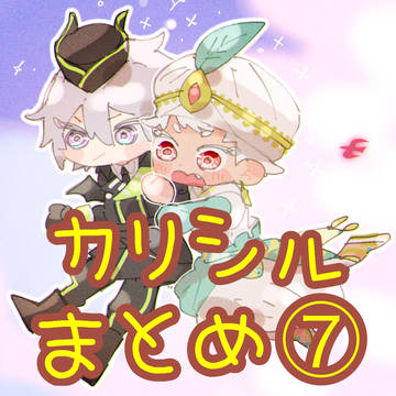 カリシルまとめ！７