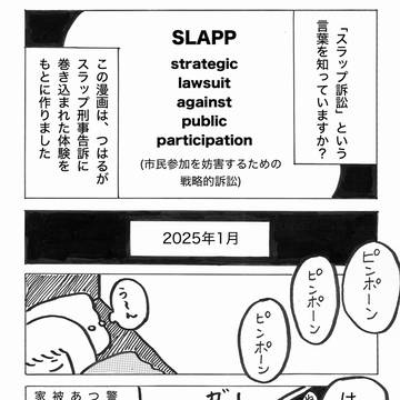 性被害に遭ったことを告発したらスラップ刑事告訴されました