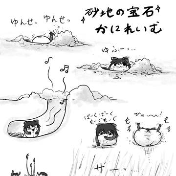 砂地の宝石