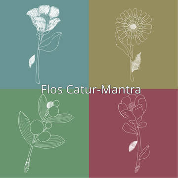 「ネガイの花　キセキの樹」　Flos Catur-Mantra