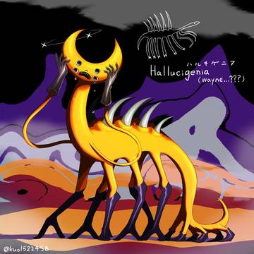 hallcigenia (wayne..!?
