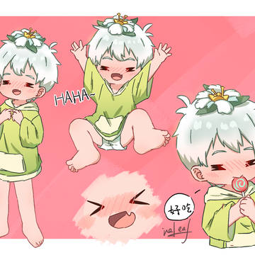 异色菊花梨