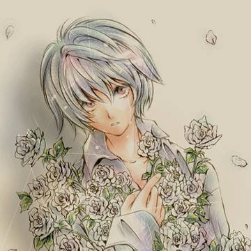 白薔薇