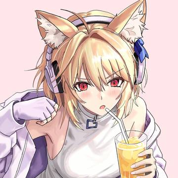 爱尔奎特