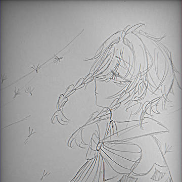 蒲公英