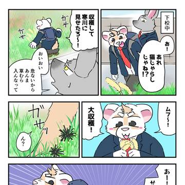 ひっつき虫