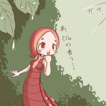 ヤマビル