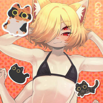 🕷️ Spider cat