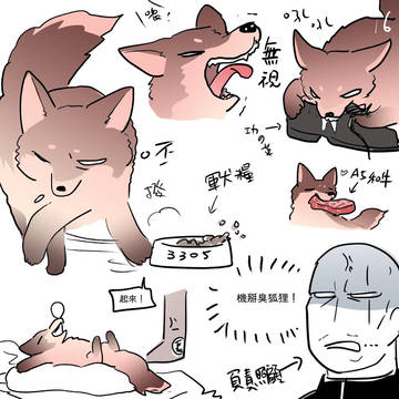 鳴功「長官的狐狸」16-34