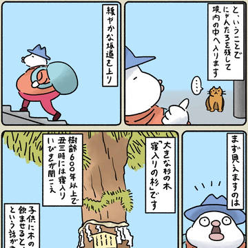 松本移住日誌#11_6