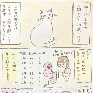 あっというまだニャ🐈