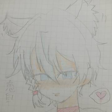 🐱💗
