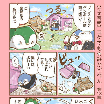第18階  天空のどんぐり合戦
