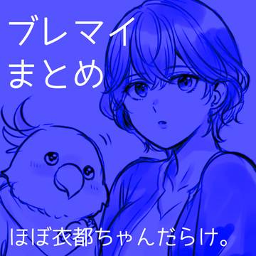 ブレマイまとめ