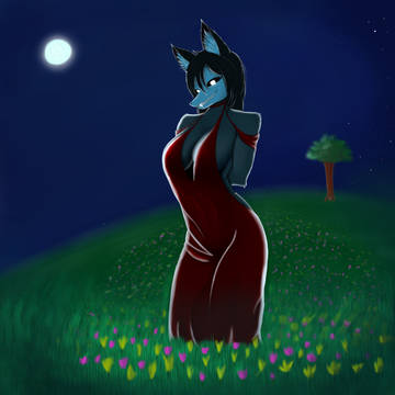 Mal0 in the night
