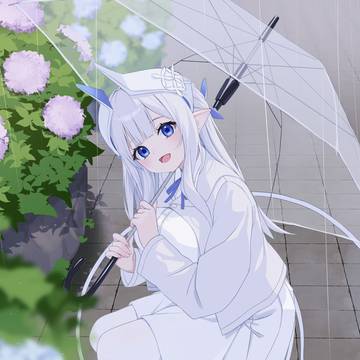 梅雨ですね