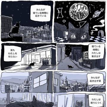 夜・行・性 猫の眠り