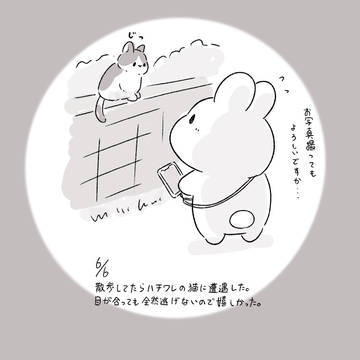 今日の日記
