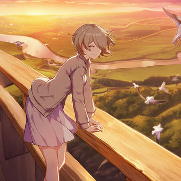 观景