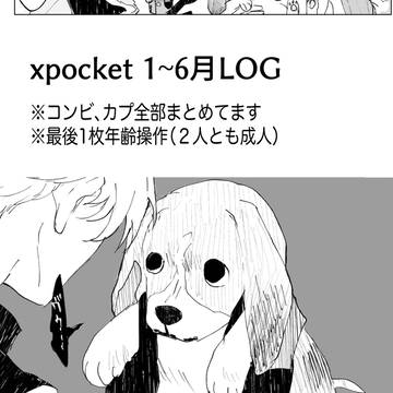 xp LOG Jan~Jun2026